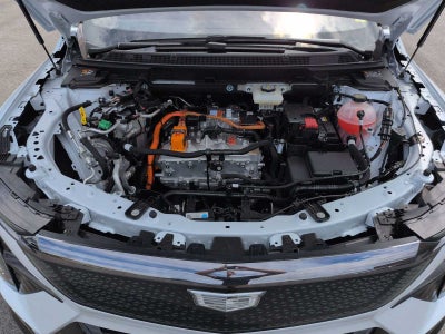 2026 Cadillac OPTIQ Sport