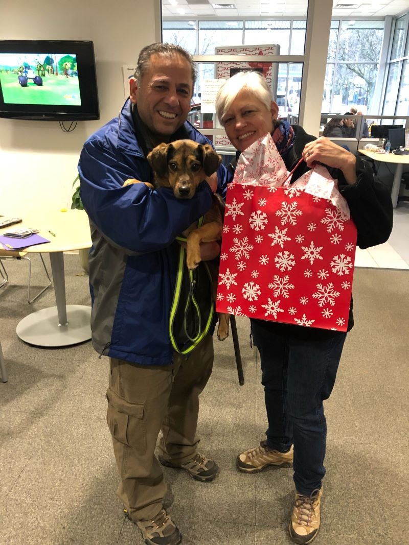 Pets that found a home