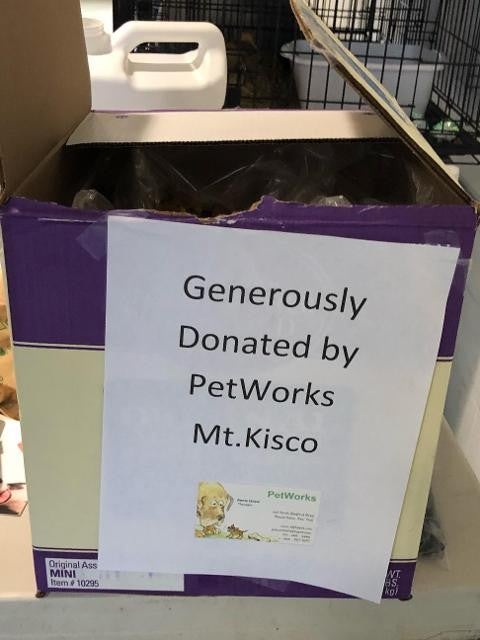 pets ready for adoption