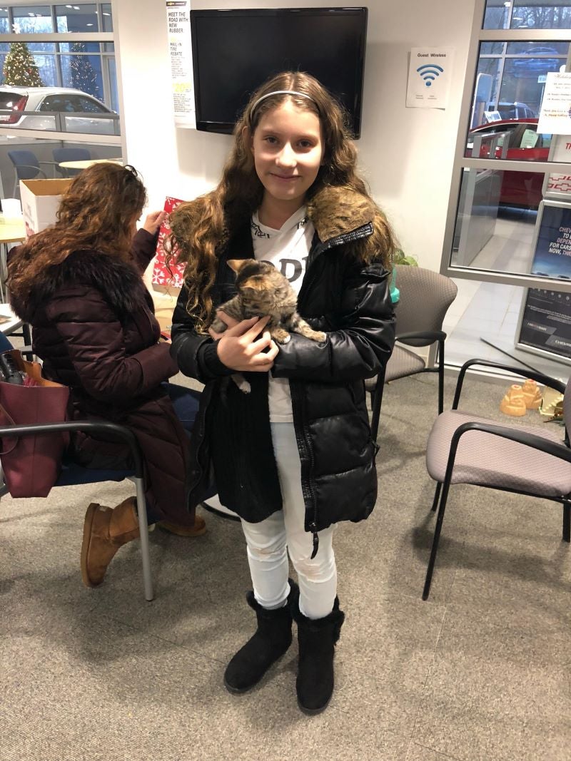 Pets that found a home